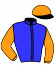 casaque portée par Gauffenic N. jockey du cheval de course HARRY, information pmu ZETURF