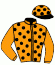 casaque portée par Gauffenic N. jockey du cheval de course GALLOX, information pmu ZETURF