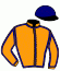 casaque portée par Fontaine Mlle E. jockey du cheval de course THE GREAT ESCAPE, information pmu ZETURF