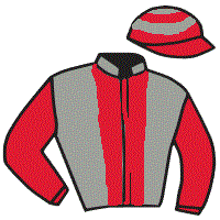 casaque portée par Gauffenic N. jockey du cheval de course COEUR EN OR, information pmu ZETURF