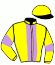 casaque portée par De Giles F. jockey du cheval de course LE PLOUGASTELLEN, information pmu ZETURF