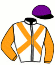 casaque portée par Re G. jockey du cheval de course BLACKFIELD, information pmu ZETURF