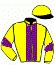 casaque portée par Meunier Gab. jockey du cheval de course JUMIRIKO, information pmu ZETURF casaque portée par Meunier Gab. jockey du cheval de course JUMIRIKO, information pmu ZETURF
