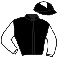 casaque portée par Mullins D.E. jockey du cheval de course FLOORING PORTER, information pmu ZETURF