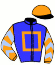 casaque portée par Meunier Gab. jockey du cheval de course IDEE FIXE, information pmu ZETURF casaque portée par Meunier Gab. jockey du cheval de course IDEE FIXE, information pmu ZETURF