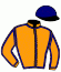 casaque portée par Fontaine Mlle E. jockey du cheval de course THE GREAT ESCAPE, information pmu ZETURF casaque portée par Fontaine Mlle E. jockey du cheval de course THE GREAT ESCAPE, information pmu ZETURF