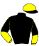 casaque portée par Le Clerc B. jockey du cheval de course ALTESSE DU BERLAIS, information pmu ZETURF