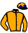 casaque portée par Charron J. jockey du cheval de course LE GRAND JOUR, information pmu ZETURF casaque portée par Charron J. jockey du cheval de course LE GRAND JOUR, information pmu ZETURF