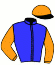 casaque portée par Gauffenic N. jockey du cheval de course HARRY, information pmu ZETURF casaque portée par Gauffenic N. jockey du cheval de course HARRY, information pmu ZETURF