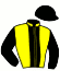 casaque portée par Bartos J. jockey du cheval de course CAPIVARI, information pmu ZETURF casaque portée par Bartos J. jockey du cheval de course CAPIVARI, information pmu ZETURF