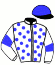 casaque portée par Ferreira N. jockey du cheval de course LITTLE KING, information pmu ZETURF casaque portée par Ferreira N. jockey du cheval de course LITTLE KING, information pmu ZETURF