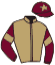 casaque portée par Prichard Mlle C. jockey du cheval de course KAMARO D'HUEZ, information pmu ZETURF
