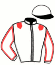 casaque portée par Zuliani A. jockey du cheval de course ASTREE DE ROCHE, information pmu ZETURF