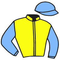 casaque portée par Breton J. B. jockey du cheval de course IGLOO IGLOO, information pmu ZETURF