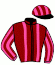 casaque portée par Geffroy Kyl. jockey du cheval de course NIL DE BALLON, information pmu ZETURF