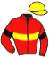 casaque portée par Bayle F. jockey du cheval de course SAINTELOI D'OROUX, information pmu ZETURF