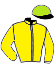 casaque portée par Nabet K. jockey du cheval de course SAINTE LUCIE, information pmu ZETURF
