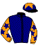 casaque portée par Bayle F. jockey du cheval de course MAGIC ELON, information pmu ZETURF