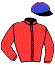 casaque portée par Lestrade B. jockey du cheval de course APALAIN, information pmu ZETURF