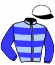casaque portée par Gauffenic N. jockey du cheval de course TERRA BELLA, information pmu ZETURF