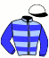 casaque portée par Gauffenic N. jockey du cheval de course TERRA BELLA, information pmu ZETURF casaque portée par Gauffenic N. jockey du cheval de course TERRA BELLA, information pmu ZETURF
