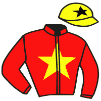casaque portée par Lefebvre Mr C. jockey du cheval de course CALIGRAMME, information pmu ZETURF