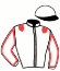 casaque portée par Zuliani A. jockey du cheval de course ASTREE DE ROCHE, information pmu ZETURF casaque portée par Zuliani A. jockey du cheval de course ASTREE DE ROCHE, information pmu ZETURF