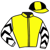 casaque portée par Gelhay B. jockey du cheval de course LEGACY LINK, information pmu ZETURF