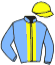 casaque portée par Behocaray Max. jockey du cheval de course FICTION DU BERLAIS, information pmu ZETURF
