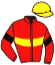 casaque portée par Bourguigneau Tom jockey du cheval de course SAINTELOI D'OROUX, information pmu ZETURF casaque portée par Bourguigneau Tom jockey du cheval de course SAINTELOI D'OROUX, information pmu ZETURF