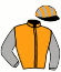 casaque portée par Zuliani A. jockey du cheval de course NARVAL, information pmu ZETURF casaque portée par Zuliani A. jockey du cheval de course NARVAL, information pmu ZETURF
