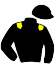 casaque portée par Journiac Tho. jockey du cheval de course LIBUENO, information pmu ZETURF casaque portée par Journiac Tho. jockey du cheval de course LIBUENO, information pmu ZETURF