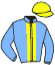 casaque portée par Behocaray Max. jockey du cheval de course FICTION DU BERLAIS, information pmu ZETURF casaque portée par Behocaray Max. jockey du cheval de course FICTION DU BERLAIS, information pmu ZETURF