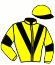 casaque portée par Masure G. jockey du cheval de course RISK DU BRIZAIS, information pmu ZETURF