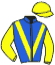 casaque portée par Gauffenic N. jockey du cheval de course MON CHAMPION, information pmu ZETURF casaque portée par Gauffenic N. jockey du cheval de course MON CHAMPION, information pmu ZETURF