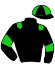 casaque portée par Gauffenic N. jockey du cheval de course STATIC, information pmu ZETURF