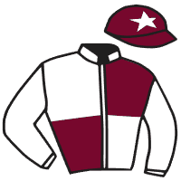 casaque portée par Le Clerc B. jockey du cheval de course KURASSO BLUE, information pmu ZETURF