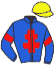 casaque portée par Reveley J. jockey du cheval de course KAZAKHE D'AIRY, information pmu ZETURF