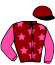 casaque portée par Riou C. jockey du cheval de course LIBERTE SACHA, information pmu ZETURF casaque portée par Riou C. jockey du cheval de course LIBERTE SACHA, information pmu ZETURF