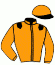 casaque portée par Gauffenic N. jockey du cheval de course BELLALOLA, information pmu ZETURF casaque portée par Gauffenic N. jockey du cheval de course BELLALOLA, information pmu ZETURF