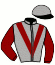 casaque portée par Lefebvre Mr C. jockey du cheval de course CAPE COD, information pmu ZETURF casaque portée par Lefebvre Mr C. jockey du cheval de course CAPE COD, information pmu ZETURF