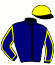 casaque portée par Reveley J. jockey du cheval de course GOLLIATH, information pmu ZETURF casaque portée par Reveley J. jockey du cheval de course GOLLIATH, information pmu ZETURF