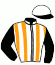 casaque portée par Andrieux T. jockey du cheval de course NINTH LOCH, information pmu ZETURF casaque portée par Andrieux T. jockey du cheval de course NINTH LOCH, information pmu ZETURF