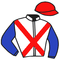 casaque portée par Reveley J. jockey du cheval de course CHAMPAGNE MYSTERY, information pmu ZETURF