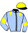 casaque portée par Lestrade B. jockey du cheval de course INDIVIS, information pmu ZETURF casaque portée par Lestrade B. jockey du cheval de course INDIVIS, information pmu ZETURF