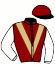 casaque portée par Geffroy Kyl. jockey du cheval de course PAPER WORKS, information pmu ZETURF