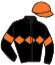 casaque portée par Chailloleau M. jockey du cheval de course JUST A CASTLE, information pmu ZETURF