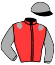 casaque portée par Debue R. jockey du cheval de course ELVINA (FR), information pmu ZETURF