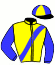casaque portée par Brossard D. jockey du cheval de course DERBY SPEED (FR), information pmu ZETURF