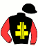 casaque portée par Marty F. jockey du cheval de course HERCULE DU NOYER, information pmu ZETURF